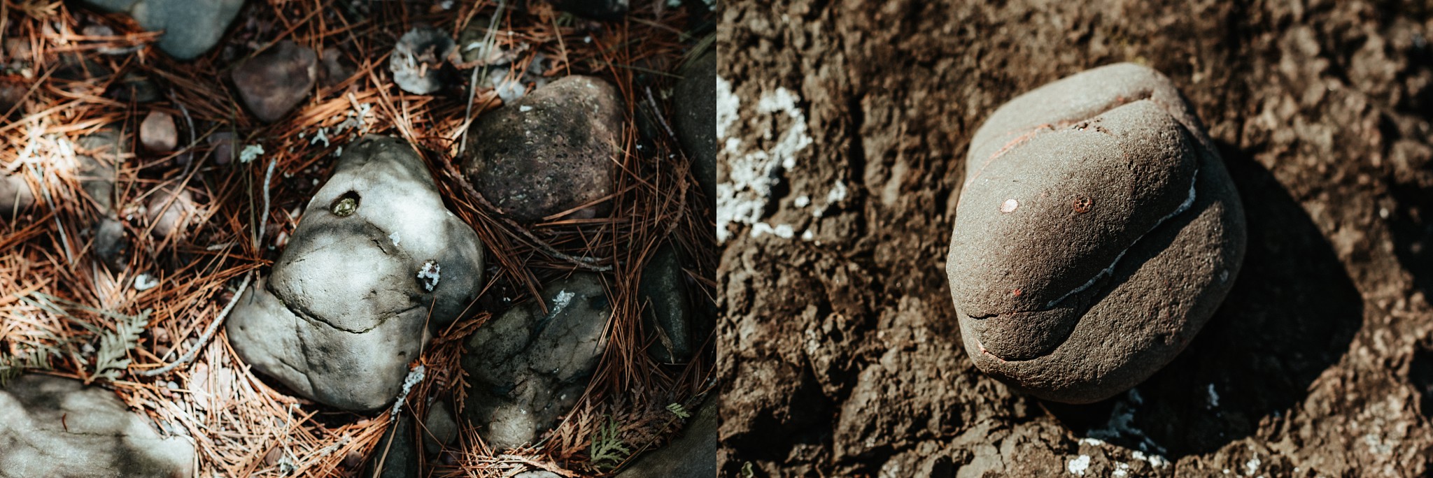 Two rocks on the ground that appear to have smiling faces on them!