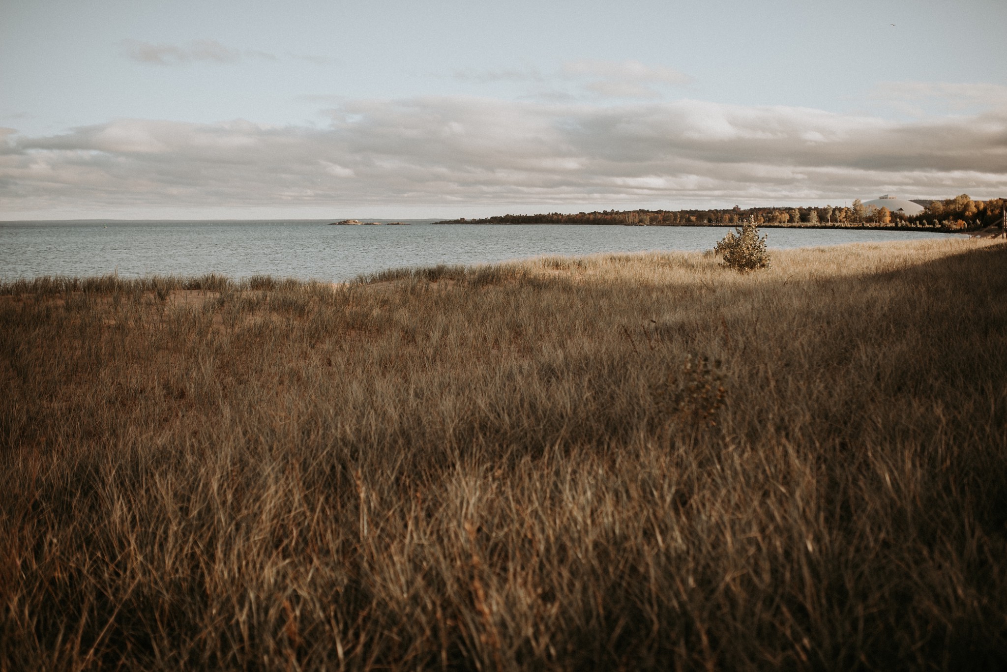 Looking out over the dune grass at Lake Superior.